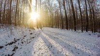 Winterspaziergang, Impressionen, Saarland