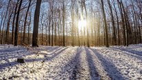 Winterspaziergang, Impressionen, Saarland