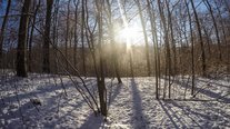 Winterspaziergang, Impressionen, Saarland