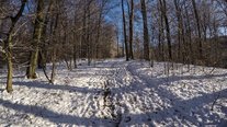 Winterspaziergang, Impressionen, Saarland