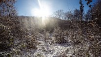 Winterspaziergang, Impressionen, Saarland
