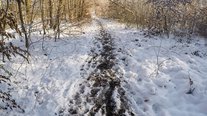 Winterspaziergang, Impressionen, Saarland